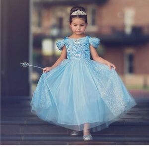 Blue Princess Theater Dress with Tulle Skirt
